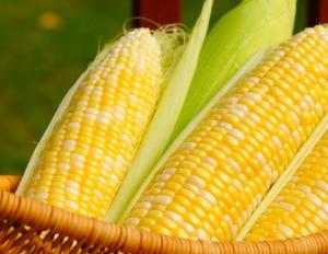 Как и сколько варить кукурузу в скороварке: полезные советы