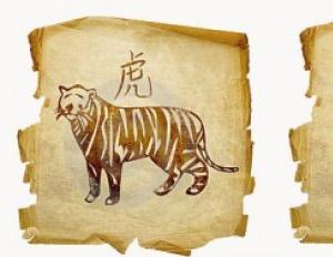 Кабан и тигр совместимость