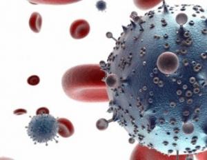 Врождённый иммунитет против ВИЧ Устойчивость к вич инфекции